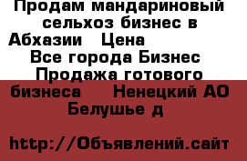 Продам мандариновый сельхоз-бизнес в Абхазии › Цена ­ 1 000 000 - Все города Бизнес » Продажа готового бизнеса   . Ненецкий АО,Белушье д.